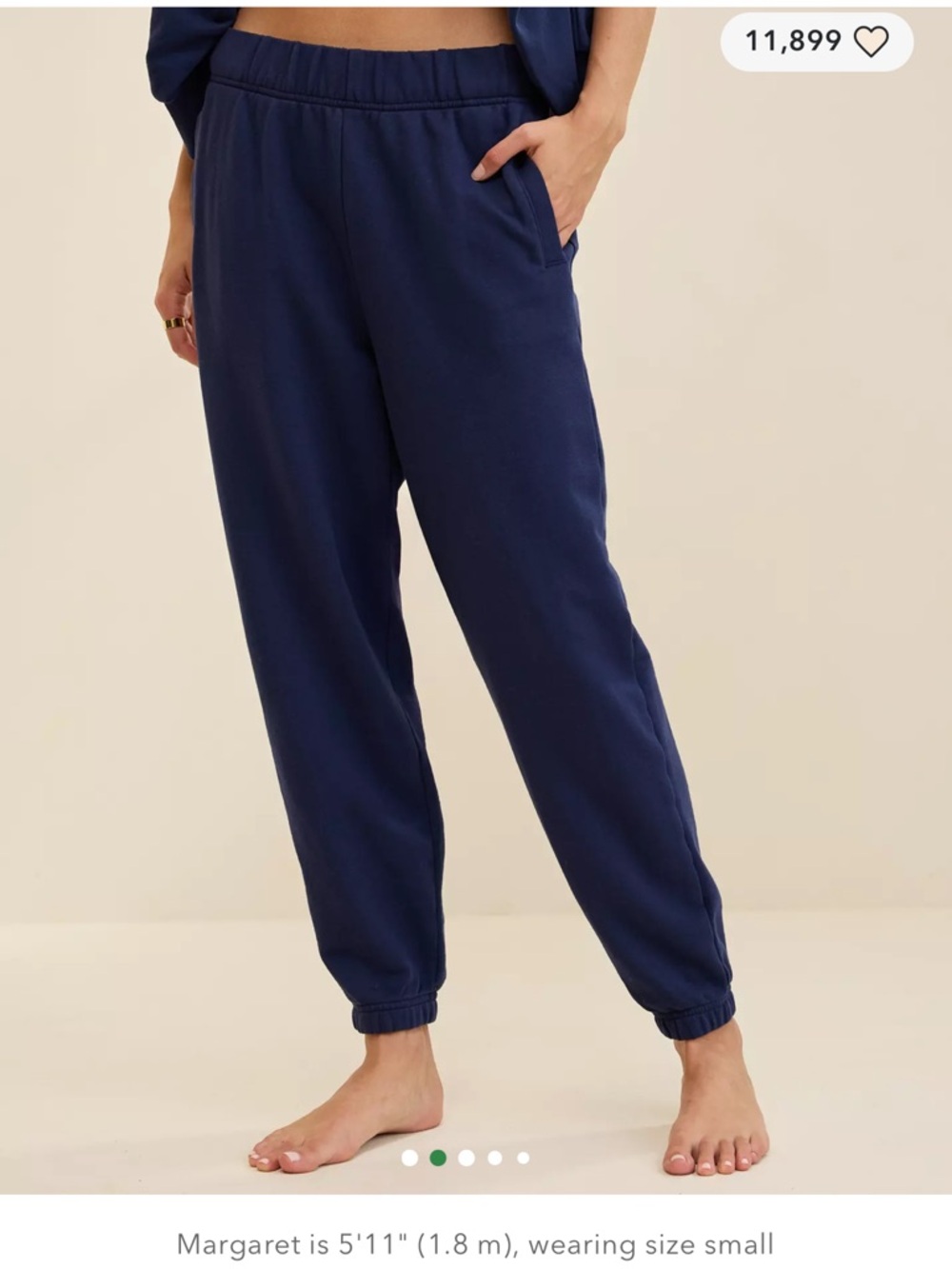 Aerie Jet Setter Jogger